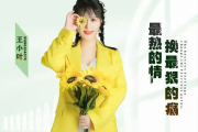 最热的情换最狠的痛吉他谱 王小叶《最热的情换最狠的痛》六线谱C调吉他谱