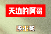 天边的阿哥简谱 韦小妮《天边的阿哥》简谱+动态视频D调