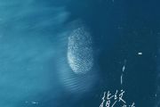 指纹鼓谱 杜宣达-指纹爵士鼓|鼓谱