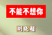 不能不想你简谱 刘晓超《不能不想你》简谱+动态视频D调