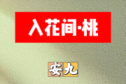 入花间·桃简谱 安九《入花间·桃》简谱+动态视频A调
