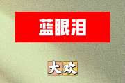 蓝眼泪简谱 大欢-蓝眼泪简谱+动态视频G调