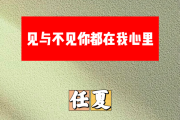 见与不见你都在我心里简谱 任夏《见与不见你都在我心里》简谱E调