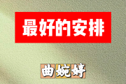最好的安排简谱 曲婉婷-最好的安排简谱D调