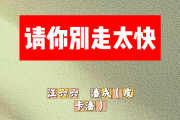 请你别走太快简谱 汪六六、潘成（皮卡潘）《请你别走太快》(My heart move move 跳太快)简谱