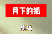月下的狐简谱 陈瑞《月下的狐》简谱#C调