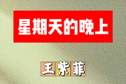 星期天的晚上简谱 王紫菲《星期天的晚上》简谱D调