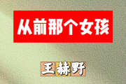 从前那个女孩简谱 王赫野《从前那个女孩》简谱降E调