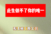 此生做不了你的唯一简谱 无名姐（路宝）《此生做不了你的唯一》简谱B调