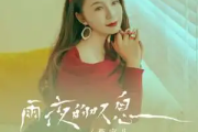 雨夜的叹息吉他谱 燕宝儿《雨夜的叹息》六线谱C调吉他谱