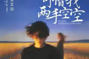 可惜我两手空空吉他谱 张艺迈-可惜我两手空空六线谱C调吉他谱