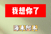 我想你了简谱 海来阿木《我想你了》简谱C调