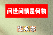 问世间情是何物简谱 艾米尔《问世间情是何物》简谱D调