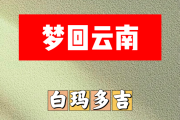 梦回云南简谱 白玛多吉《梦回云南》简谱A调