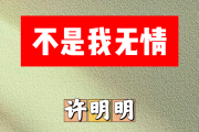 不是我无情简谱 许明明《不是我无情》简谱升C调