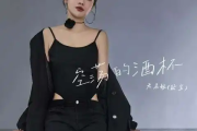 空荡的酒杯吉他谱 无名姐（路宝）空荡的酒杯六线谱C调弹唱谱