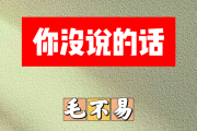 你没说的话简谱 毛不易《你没说的话》简谱升C调