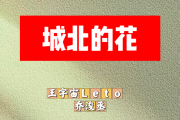 城北的花简谱 王宇宙Leto、乔浚丞《城北的花》简谱D调