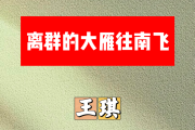 离群的大雁往南飞简谱 王琪《离群的大雁往南飞》简谱B调