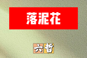 落泥花简谱 六哲《落泥花》简谱降B调