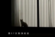 第57次取消发送吉他谱 菲菲公主《第57次取消发送》六线谱|吉他谱