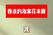 四点的海棠花未眠简谱 渡《四点的海棠花未眠》简谱降B调