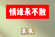 情缘永不散简谱 袁泉《情缘永不散》简谱G调