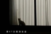 第57次取消发送吉他谱 菲菲公主（陆绮菲）第57次取消发送六线谱