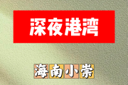 深夜港湾简谱 海南小崇《深夜港湾》简谱C调