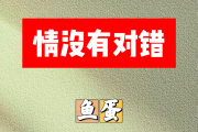 情没有对错简谱 鱼蛋《情没有对错》简谱C调