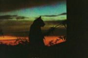第五十七次取消发送 鼓谱 菲菲公主（陆绮菲）/安扬《第五十七次取消发送 》(说唱版)架子鼓|爵士鼓|鼓谱