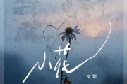 小花吉他谱 文魁《小花》六线谱G调吉他谱