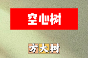 空心树简谱 方大树《空心树》简谱F调