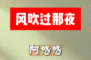 风吹过那夜简谱 阿悠悠《风吹过那夜》简谱A调