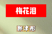 梅花泪简谱 郭津彤-梅花泪简谱降A调