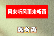 风来听风雨来听雨简谱 魏新雨《风来听风雨来听雨》简谱A调