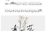 毒草花 鼓谱 小梁的（梁思琪）毒草花(DJ版)架子鼓|爵士鼓|鼓谱