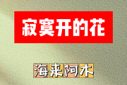 寂寞开的花简谱 海来阿木《寂寞开的花》简谱C调