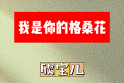 我是你的格桑花简谱 欣宝儿《我是你的格桑花》(DJ版)简谱D调