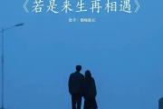 若是来生再相遇吉他谱 烟嗓船长《若是来生再相遇》六线谱G调吉他谱