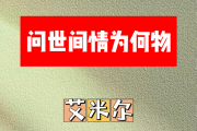 问世间情为何物简谱 艾米尔《问世间情为何物》简谱D调