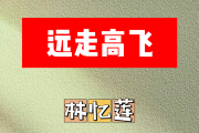 远走高飞简谱 林忆莲-远走高飞简谱D调