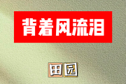 背着风流泪简谱 田园《背着风流泪》简谱C调
