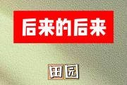 后来的后来简谱 田园《后来的后来》简谱C调