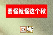 要怪就怪这个秋简谱 王娜《要怪就怪这个秋》简谱A调