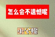 怎么会不遗憾呢简谱 小兮橙《怎么会不遗憾呢》简谱C调