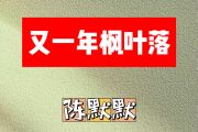 又一年枫叶落简谱 陈默默《又一年枫叶落》简谱A调