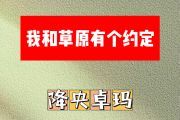 我和草原有个约会简谱 降央卓玛《我和草原有个约会》简谱G调