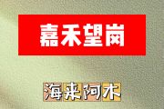 嘉禾望岗简谱 海来阿木-嘉禾望岗D调简谱