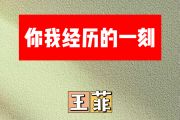 你我经历的一刻简谱 王菲-你我经历的一刻简谱升F调